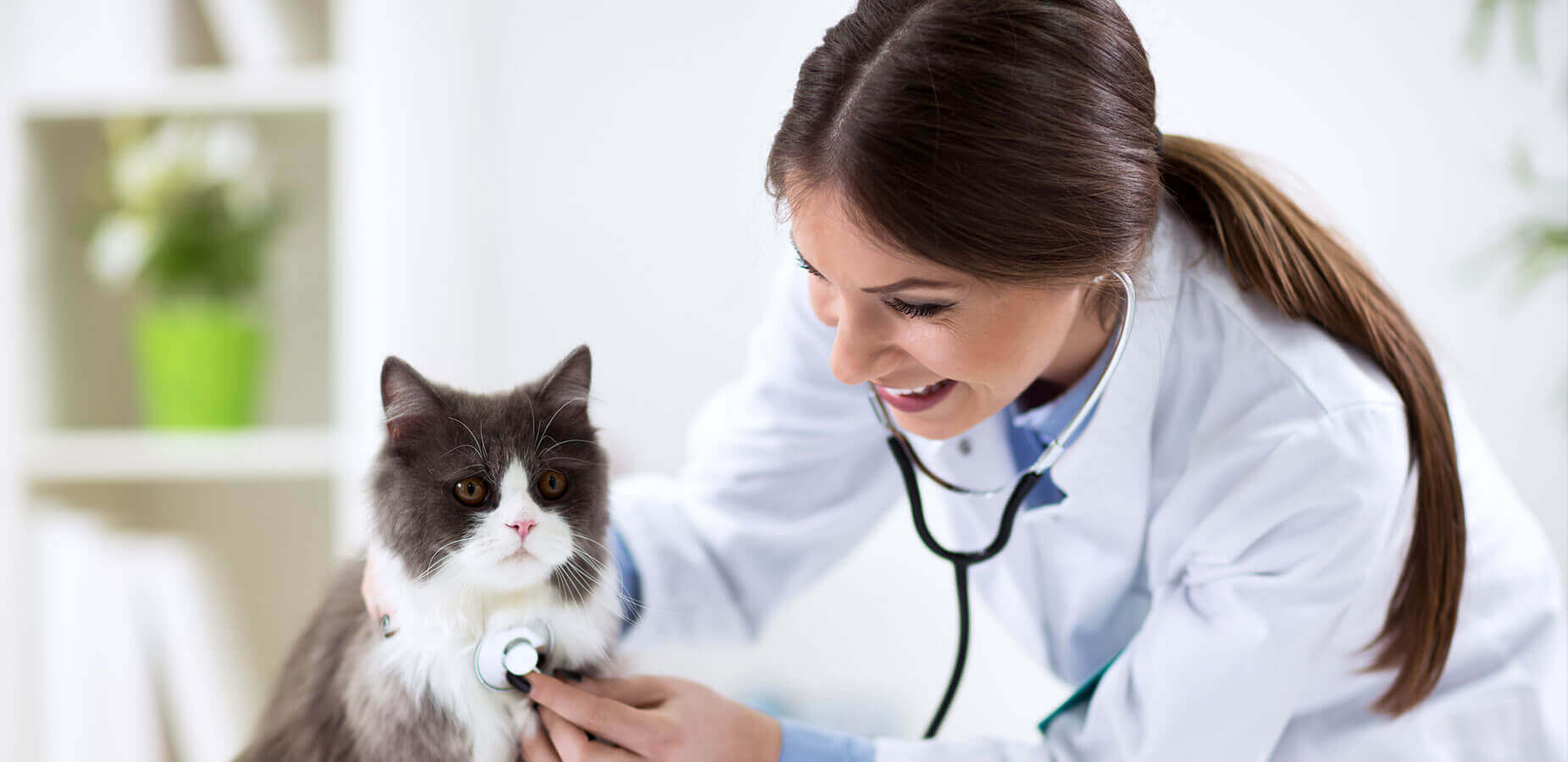 <p>The preferred regional provider of healthcare & wellbeing solutions</p>